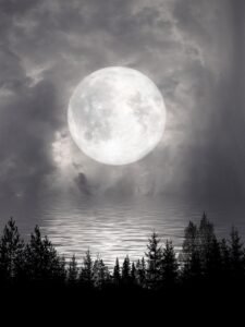 full moon, lake, moonlight-6909087.jpg